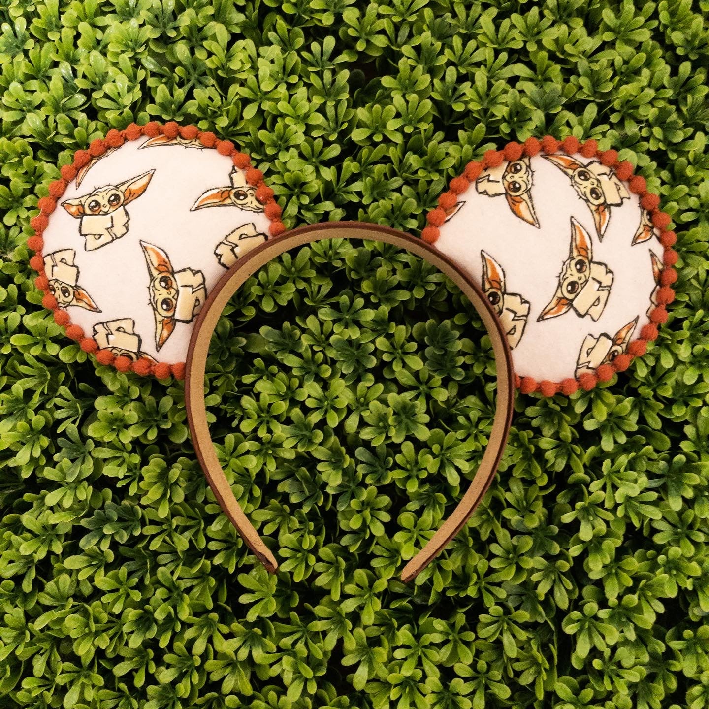 The Mini Ears | Completely Custom